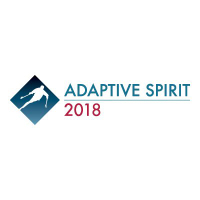 Adaptive Spirit